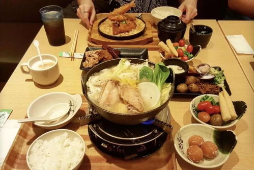 野炊必备!小森生活野炊锅使用攻略,轻松掌握烹饪技巧 野炊必备!小森生活野炊锅使用攻略,轻松掌握烹饪技巧