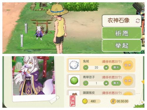 小森生活卡终身价值揭秘：终身卡购买攻略必看