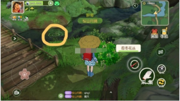 小森生活花生刷新攻略:揭秘花生神秘位置,轻松获取新技巧 小森生活花生刷新攻略:揭秘花生神秘位置,轻松获取新技巧