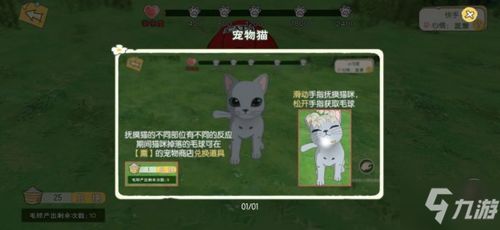 小森生活猫碗摆放技巧揭秘：打造完美猫碗布局攻略
