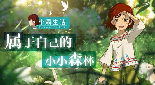 小森生活房屋快速升级技巧，揭秘等级飞跃新攻略