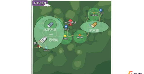 小森生活甘蔗种子攻略：高效获取方法大揭秘