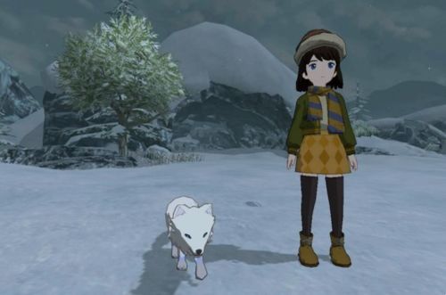 小森生活抗风抗热服装秘籍：轻松掌握制作技巧