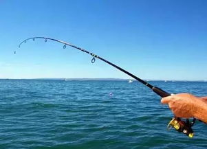 鳊鱼垂钓攻略:揭秘小森生活鳊鱼高效捕捞技巧 鳊鱼垂钓攻略:揭秘小森生活鳊鱼高效捕捞技巧