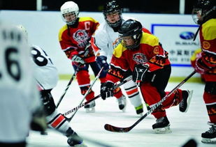 最新冰球游戏盘点：揭秘热门精选，体验极致竞技快感