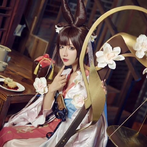 忘川风华录名士猫进化技巧揭秘：高效升级攻略全解析