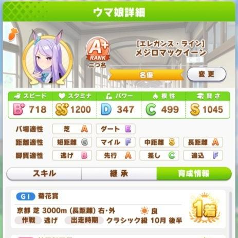 赛马娘麦昆高效养成指南：揭秘角色育成技巧攻略