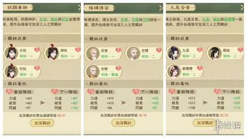 云问仙属性一览攻略：内视技巧深度揭秘