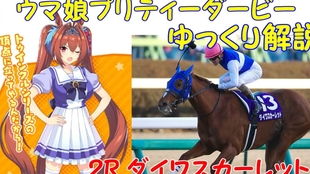 赛马娘开局必备！强力支援卡牌推荐，助你一骑绝尘