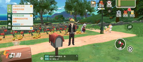 小森生活田地开垦攻略：高效开垦技巧揭秘