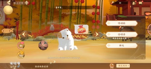 《忘川风华录》喵居攻略：高效升级技巧揭秘，轻松掌握！