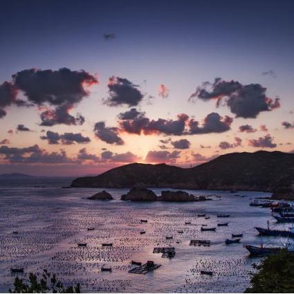 海岛探险攻略：揭秘小森生活海岛快速前往秘籍