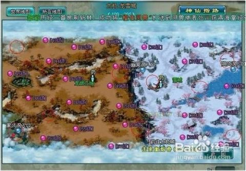 小小法师肉坦攻略揭秘:技能搭配技巧深度解析 小小法师肉坦攻略揭秘:技能搭配技巧深度解析