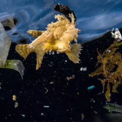 热门推荐！必玩潜水艇游戏，下载体验深海探险乐趣