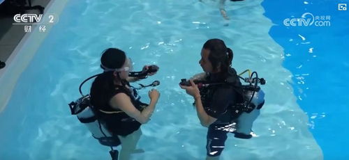 水底探险必备！热门下载排行，揭秘水下世界神作