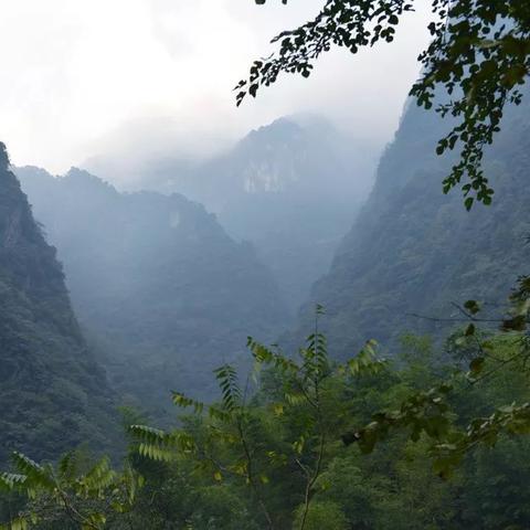 烟雨江湖明月山图碎片获取攻略:四步轻松集齐,高效解锁秘境 烟雨江湖明月山图碎片获取攻略:四步轻松集齐,高效解锁秘境