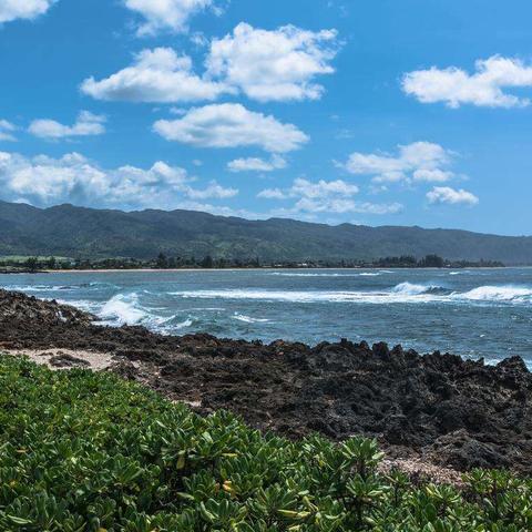 热门平台跳跃游戏盘点：揭秘玩家最爱挑战的精选榜单