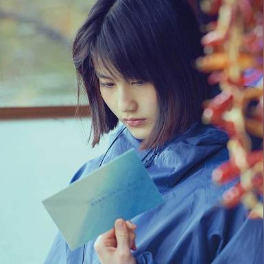 小森生活树木分布攻略：揭秘刷新时间与种植技巧