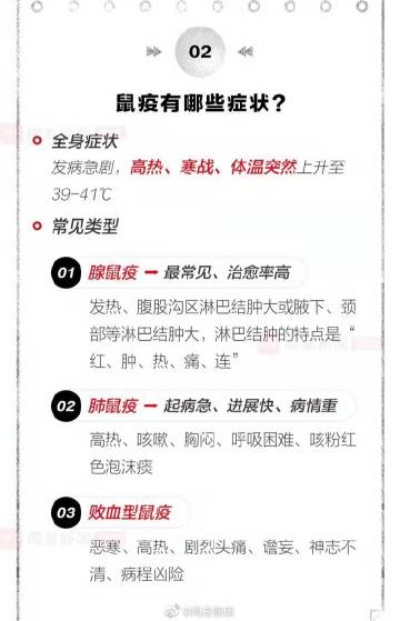 热门旅鼠游戏盘点：揭秘最受欢迎的趣味玩法排行