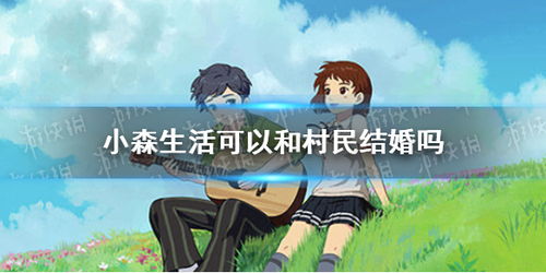 小森生活结婚攻略:揭秘高效婚姻组建技巧 小森生活结婚攻略:揭秘高效婚姻组建技巧