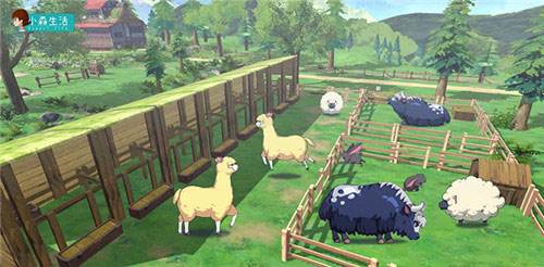 小森生活金母鸡获取攻略：独家秘籍，快速升级必备