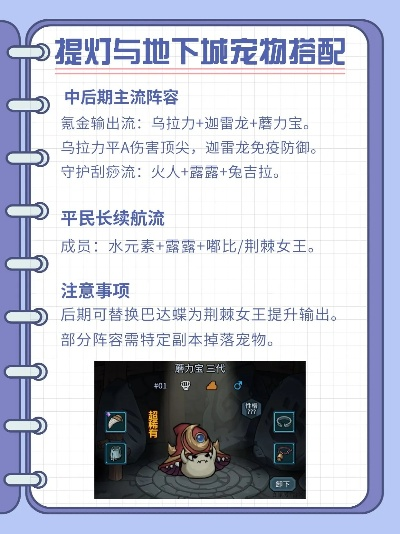 揭秘提灯地下城宠物资质！高效查看攻略大公开