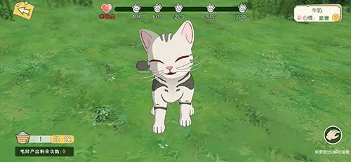 小森生活攻略：野猫喂养技巧大揭秘，轻松养出健康猫儿