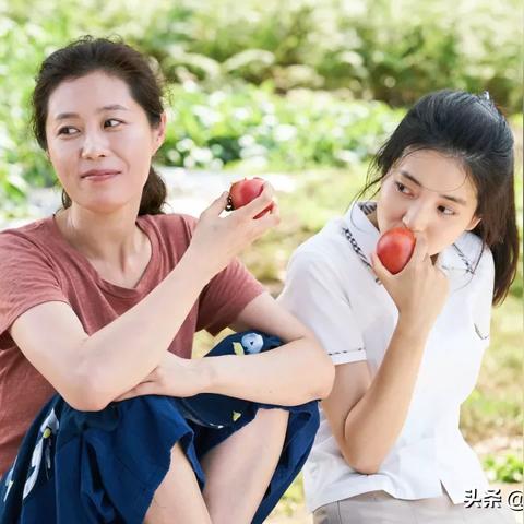 小森生活自行车获取攻略：揭秘高效自行车获取技巧