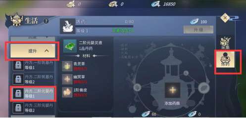 一念逍遥元婴丹获取攻略：独家丹方揭秘，轻松升级必备！