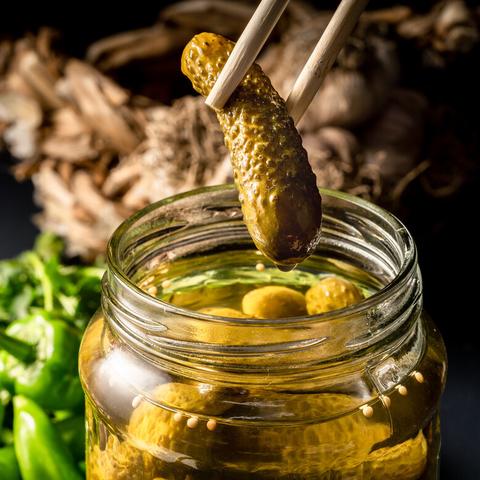 《放置江湖》咸鱼人龙攻略：独家技巧助你轻松升级，告别新手困境