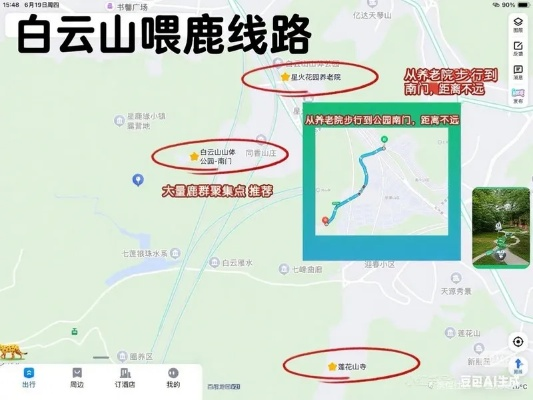 白峰山鹿位置揭秘:手游遇见攻略新视角 白峰山鹿位置揭秘:手游遇见攻略新视角