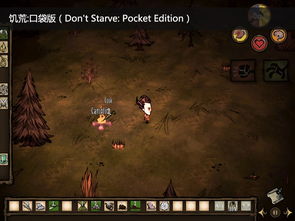 唯美游戏盘点：十大热门佳作，揭秘最好玩的热门榜单