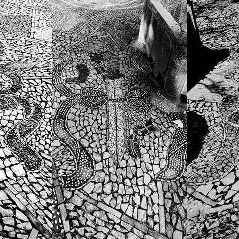 暗属性配队攻略:揭秘悠久之树养成高效秘籍 暗属性配队攻略:揭秘悠久之树养成高效秘籍