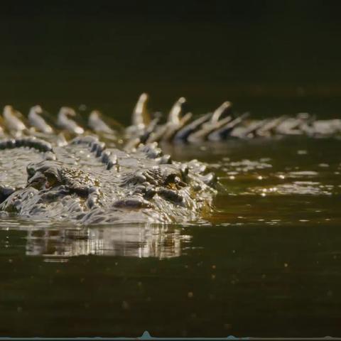 《伊甸园的骄傲》秘境解锁攻略:揭秘隐藏宝藏新路径 《伊甸园的骄傲》秘境解锁攻略:揭秘隐藏宝藏新路径