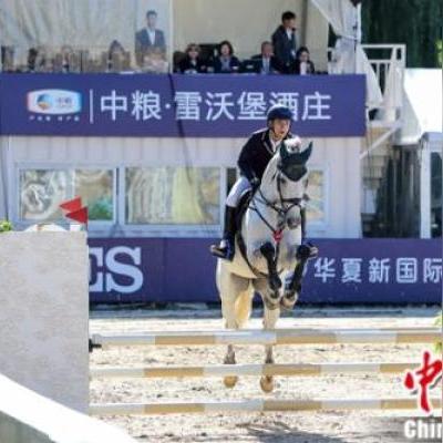 破解攻略：烧脑大师110关守卫大胡子之谜，揭秘通关技巧！