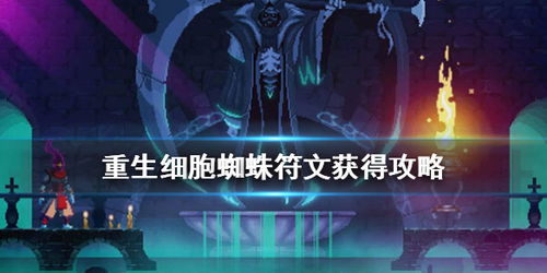 重生细胞蜘蛛符文解析：揭秘强大作用，助你战力飙升