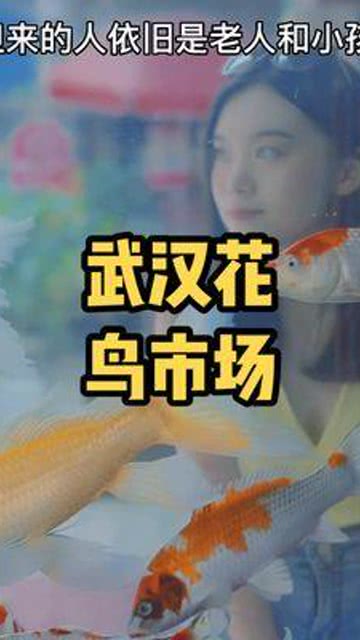 童年回忆盘点：揭秘十大经典游戏，重温儿时欢乐时光！