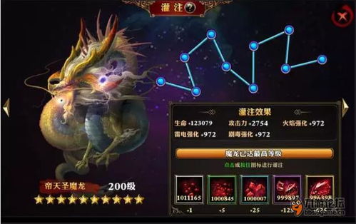 青眼白龙获取攻略：高效方法解析及属性详解