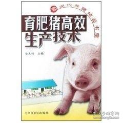 像素时代养猪攻略:揭秘高效牲畜养殖技巧 像素时代养猪攻略:揭秘高效牲畜养殖技巧