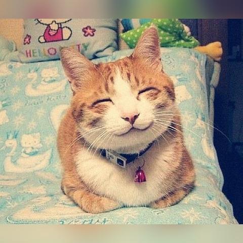 烧脑大师76关移动1火柴巧解攻略，轻松解锁新境界