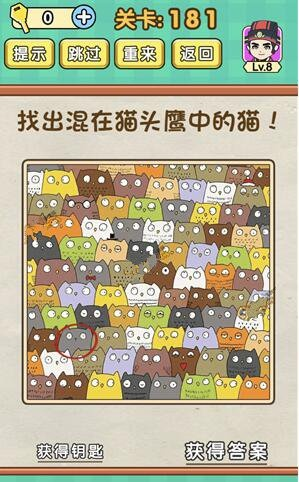 烧脑大师48关攻略揭秘：猫咪互动玩法轻松通关技巧分享