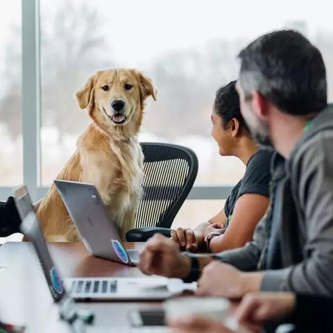渡劫攻略揭秘！《了不起的修仙模拟器》高效修炼技巧大公开