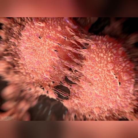 重生细胞黄金皮肤获取攻略：独家揭秘高效获取技巧