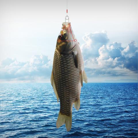 钓鱼游戏盘点：揭秘十大耐玩经典，畅享无尽垂钓乐趣