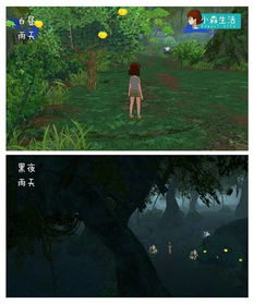光遇探秘：揭秘鲤鱼池隐藏位置攻略，解锁神秘水域！