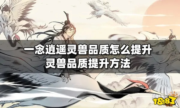 一念逍遥灵兽品质飞跃指南：揭秘高效提升秘籍