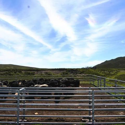 热门摔角游戏推荐:盘点下载量超高的经典对决 热门摔角游戏推荐:盘点下载量超高的经典对决