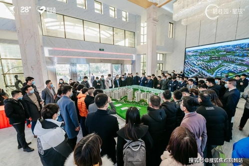 梦想新大陆4星食物增益解析：揭秘全新效果与价值攻略