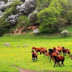 光遇发型攻略:温婉造型获取秘籍及先祖位置揭秘 光遇发型攻略:温婉造型获取秘籍及先祖位置揭秘