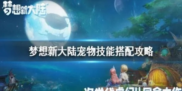 梦想新大陆以太宠物捕捉攻略，轻松获取以太宝宝秘籍！